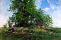 A Summer Pasture