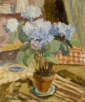 Still Life