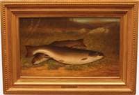TROUT ON A BANK