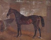 Bay 'Middleton', Winner of the Epsom Derby