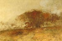 Late Afternoon
