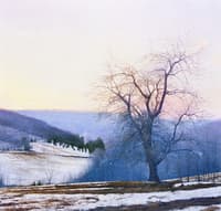 Upland Apple