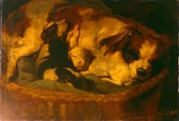 Mother dog and her two pups