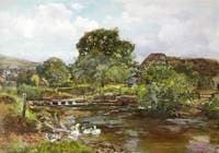 Chagford Mill, the River Teign with Stepping Stones and Ducks
