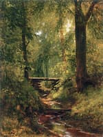 Woodland Interior