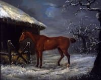 A Horse