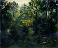 Wooded landscape