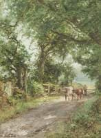 Curraghs, Ballaterson near Ballaugh