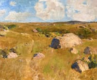 Martha's Vineyard Pasture