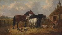 Horses and Pigs