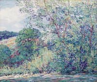 Summer Day