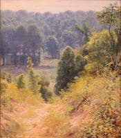 The Abandoned Road