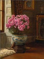 A Double Pink Azalea