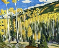 Taos Landscape