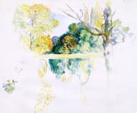 The Lake