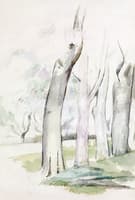 Trees by a Road