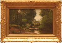 STREAM IN WOODLAND CLEARING