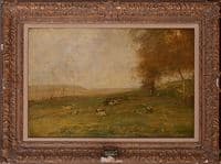 The Hilltop