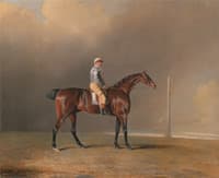 Diamond, with Dennis Fitzpatrick Up