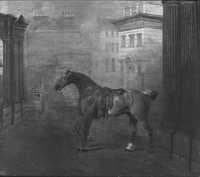 A Roan Hack