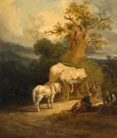 The Market Cart