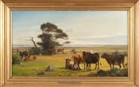 Cows in a Meadow