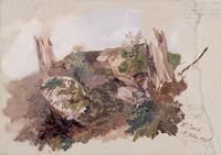 Study of Rocks, Shrubs, and Tree Trunks at Monte Casale near Sansepolcro, Tuscany