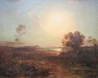 Aulis