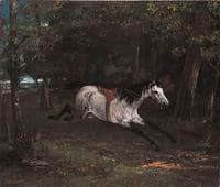 Racing Horse