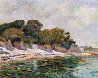 Beach with Large Trees