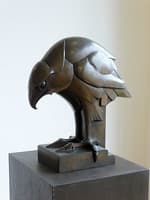Hawk