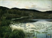 Summer Night