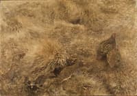 Autumn Landscape with Partridges