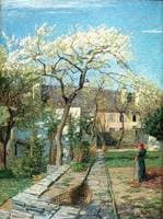 The Blossoming Cherry Tree