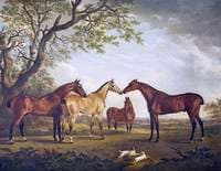 Four Horses in a Landscape