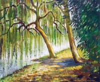 Weeping Willows