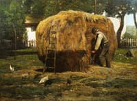The Barnyard