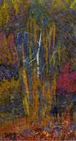 Birch Trees in Autumn