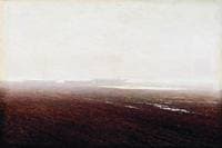 Seashore
