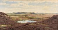 Heath Landscape