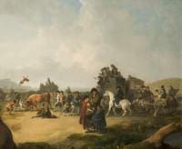 Bull Baiting