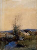 Tree in Landscape
