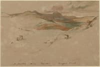 Landscape: Magnus Muir