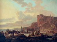 Rocky Coast Scene
