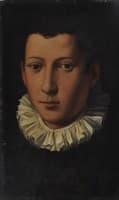 Portrait of a Young Man