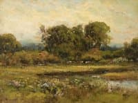 Meadow with Cows