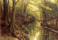 Stream in the Forest