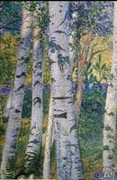 Birches