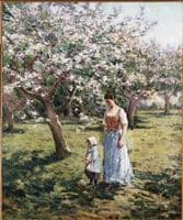 Walk among flowering trees