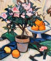 Roses, Azaleas and Oranges